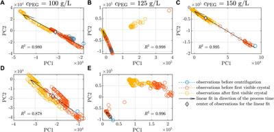 Spectroscopic insights into multi-phase protein crystallization in complex lysate using Raman spectroscopy and a particle-free bypass